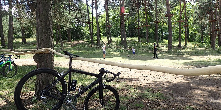 Park linowy koło Leśnego