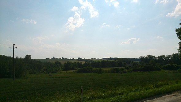 Pola koło Żółkiewki