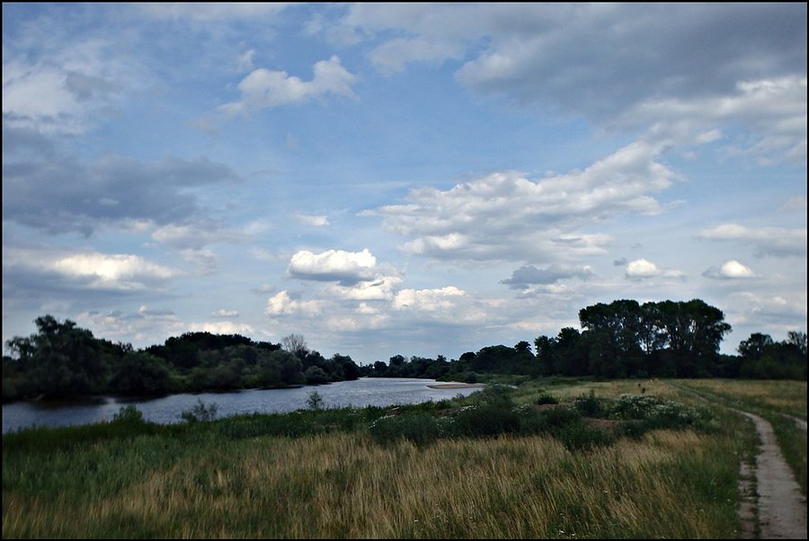 Odra za Brzegiem