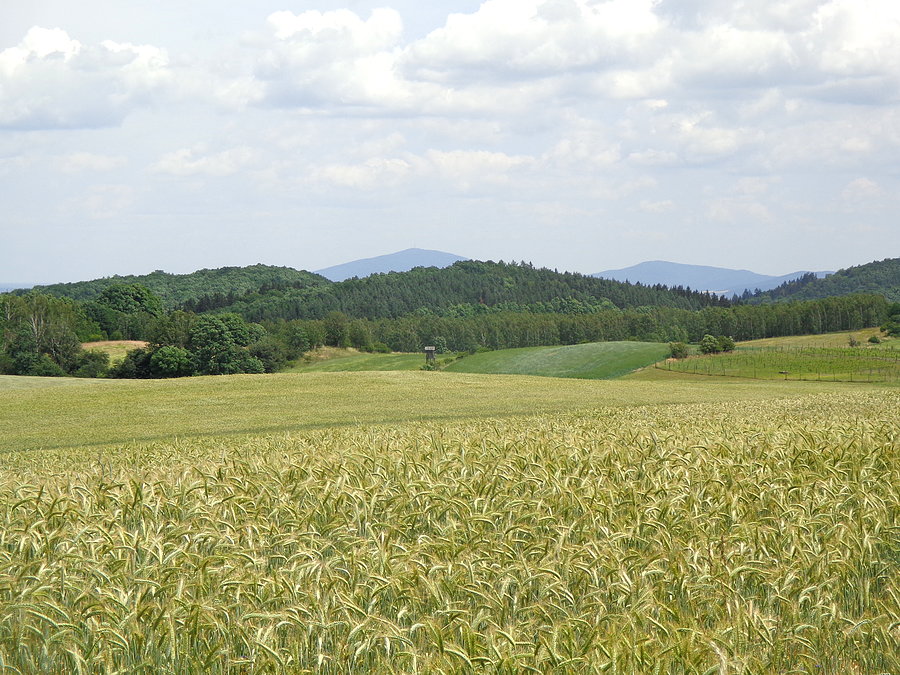 Widok na Ślęże