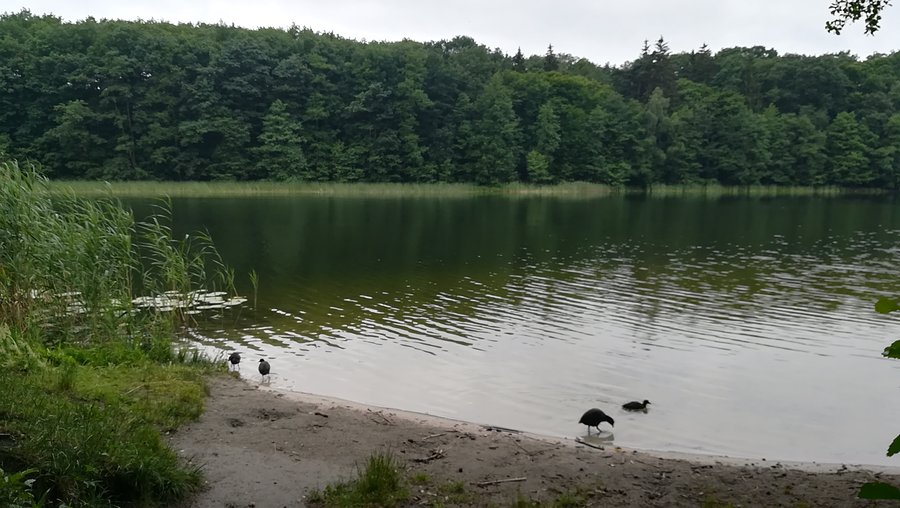 Jezioro Jarosławieckie