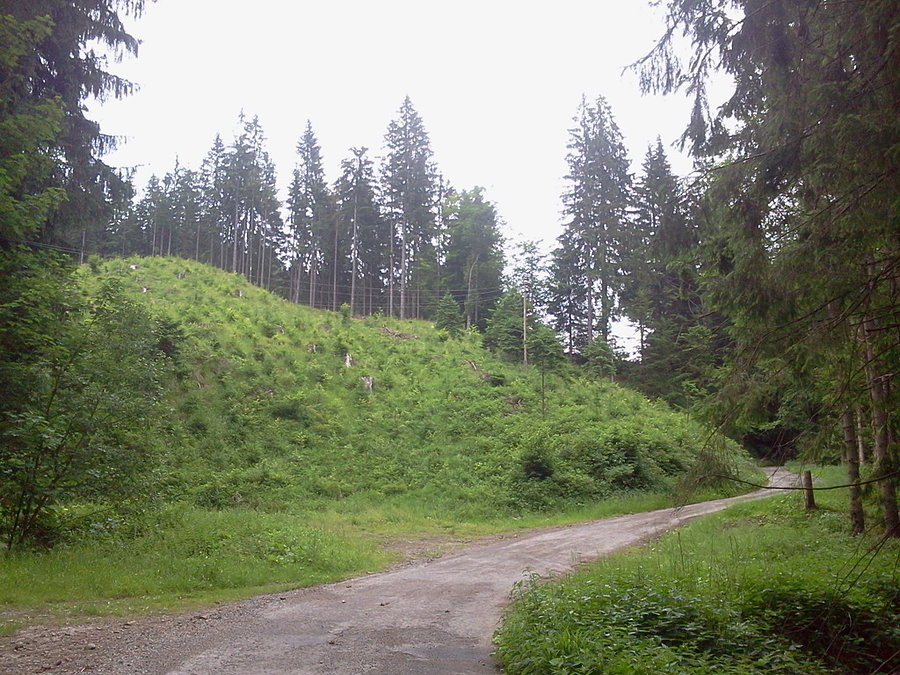 Podjazd doliną Nytrową