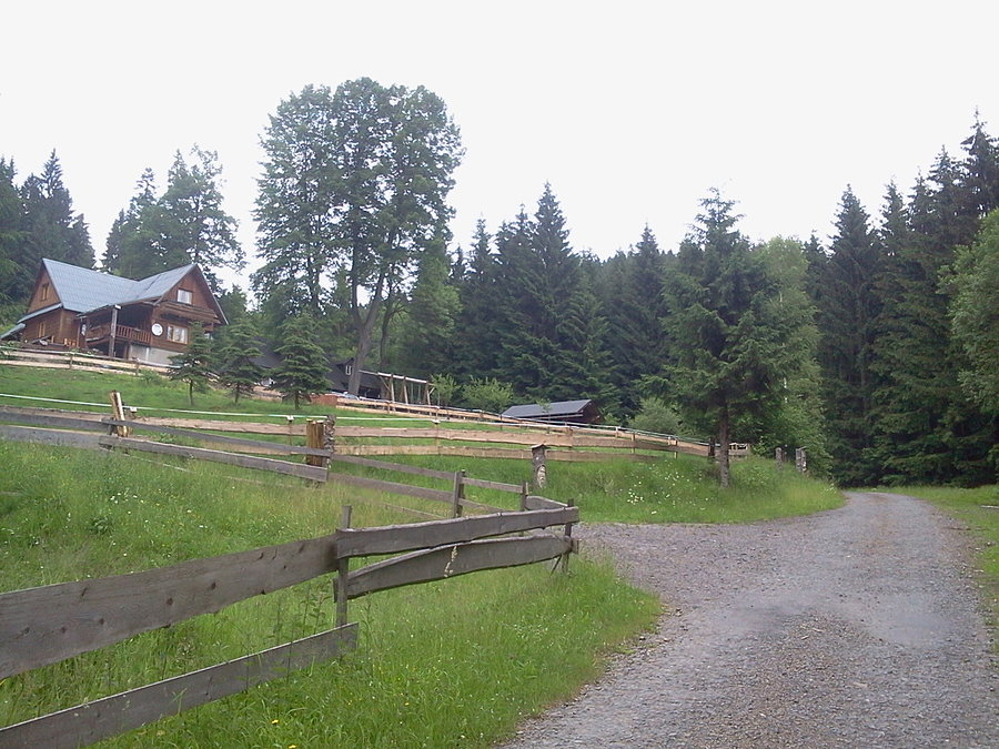 Nytrova