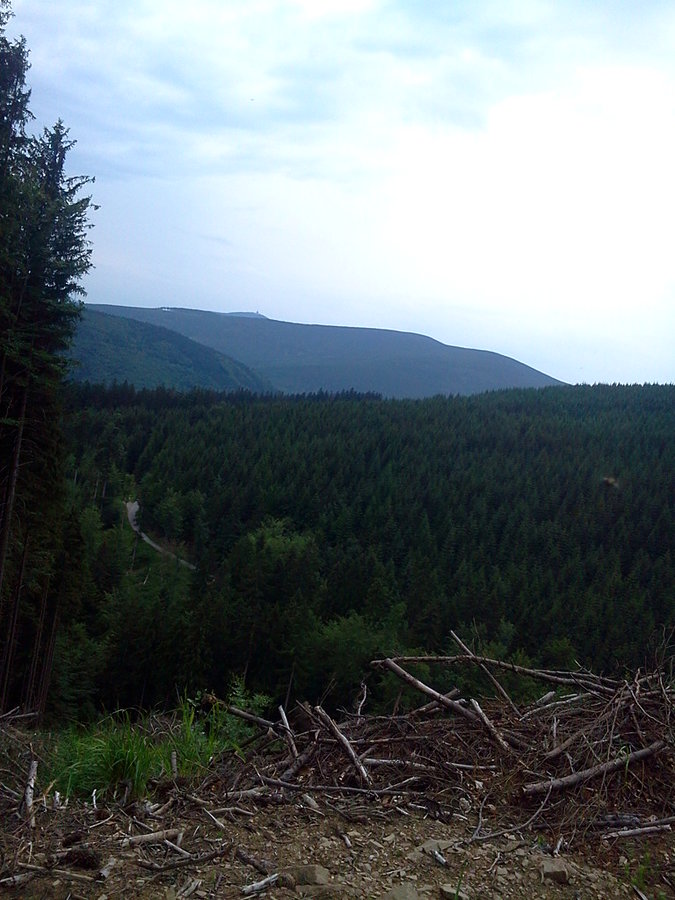 Widoczek na Łysą Górę