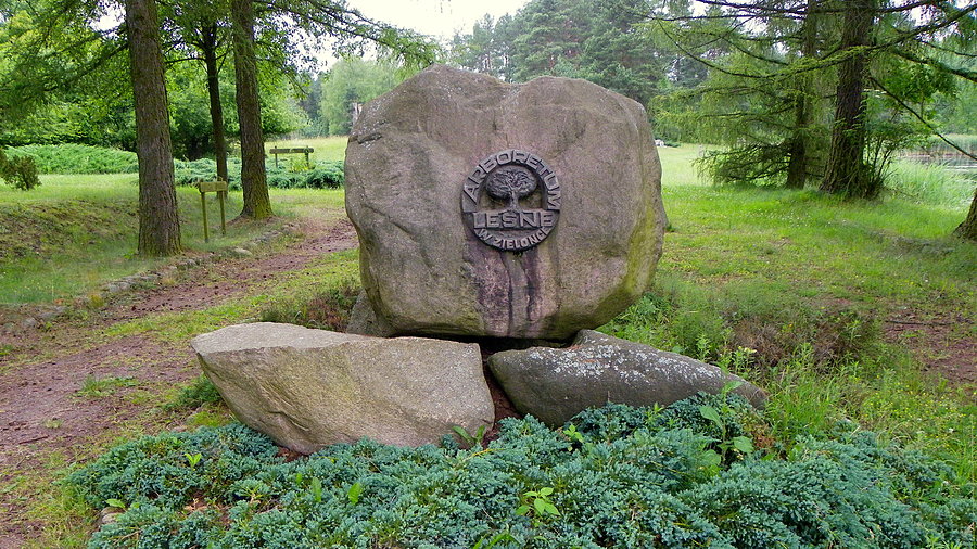 Arboretum w Zielonce