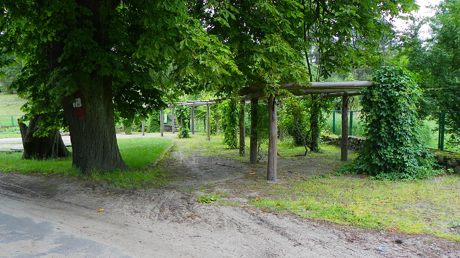 Zielonka - przed wejściem do arboretum