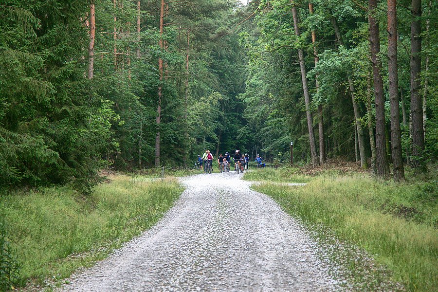 W drodze do Bącznika