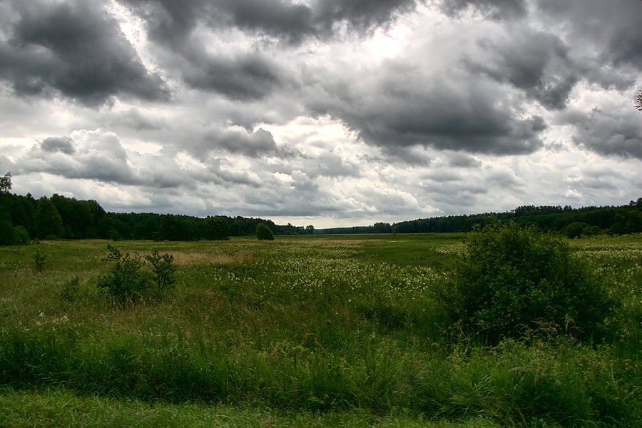 W drodze do łęska