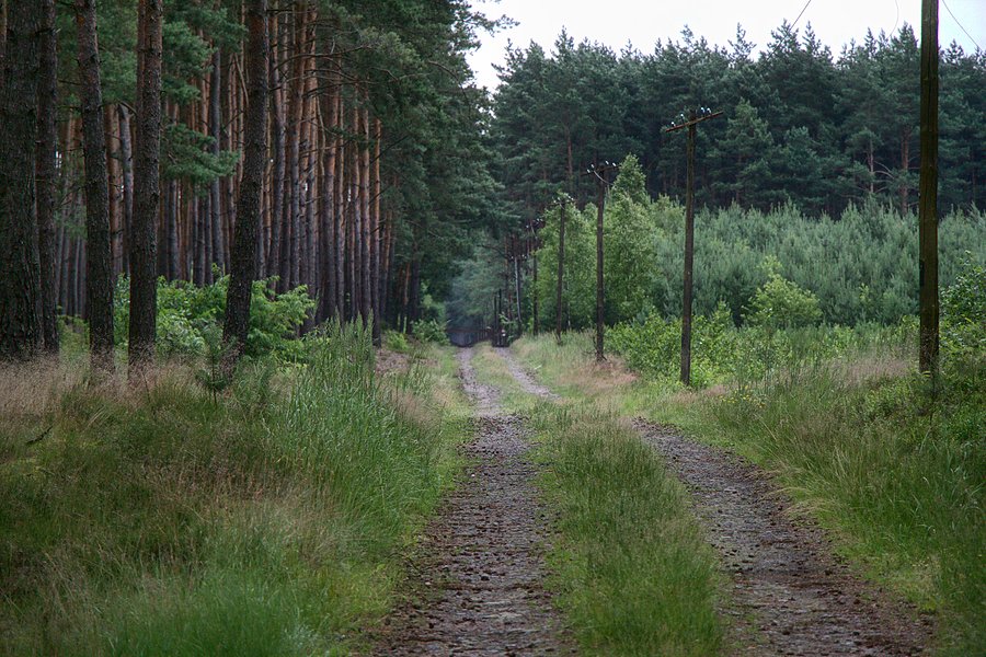 Darek ruszył na poszukiwanie zagrody muflonów