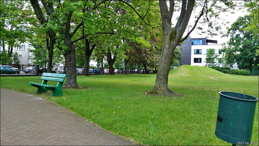Znajdź 2 wiewiórki