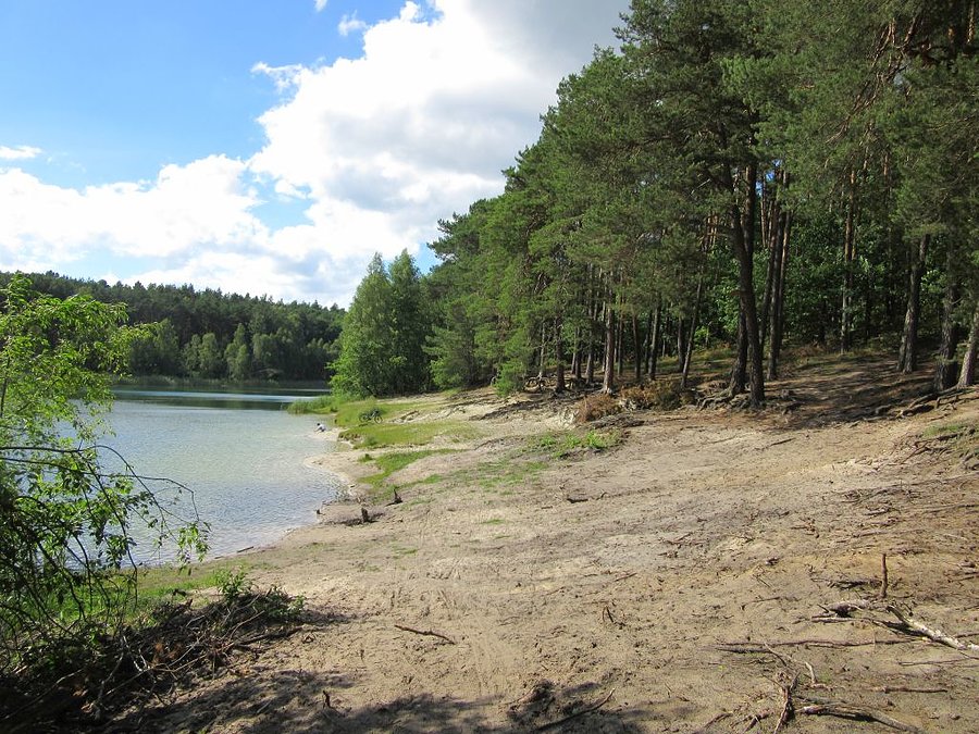 Plaża nad Jeziorem Miejskim w Okońcu