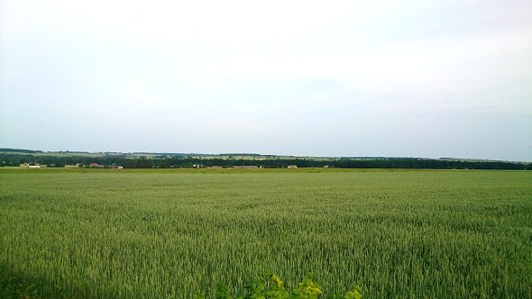 Widoki