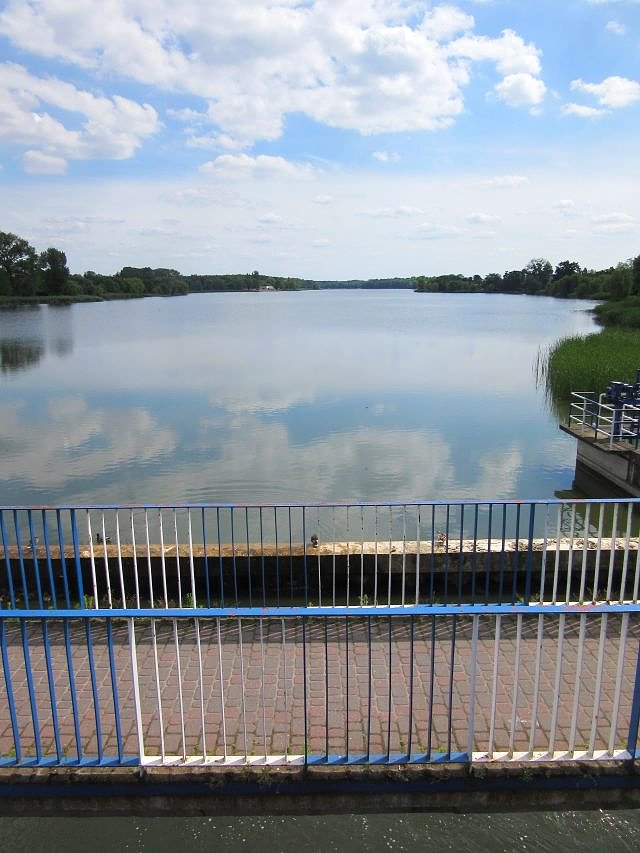 Jezioro Rogozińskie w Rogoźnie