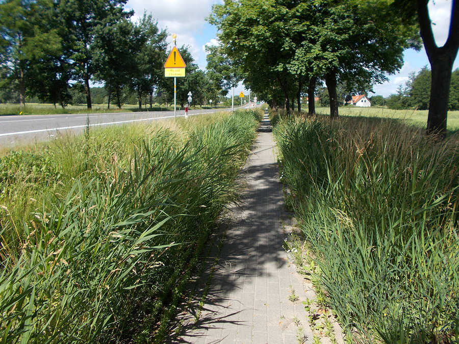 Zarośnięta DDR