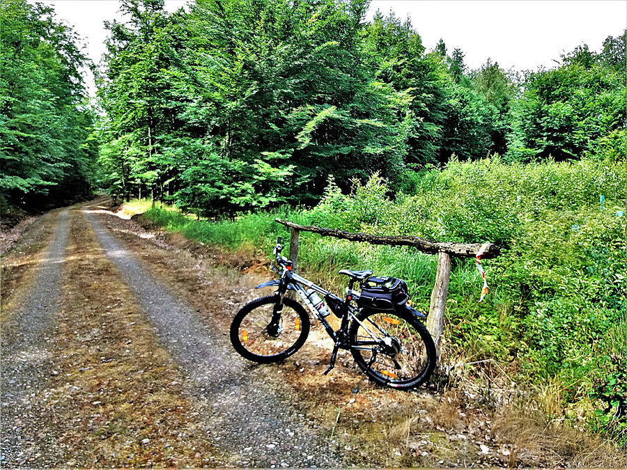 Objazd trasy - Tczewskiego Crossu Rowerowego