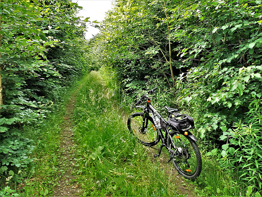 Objazd trasy - Tczewskiego Crossu Rowerowego