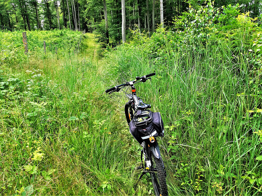 Objazd trasy - Tczewskiego Crossu Rowerowego
