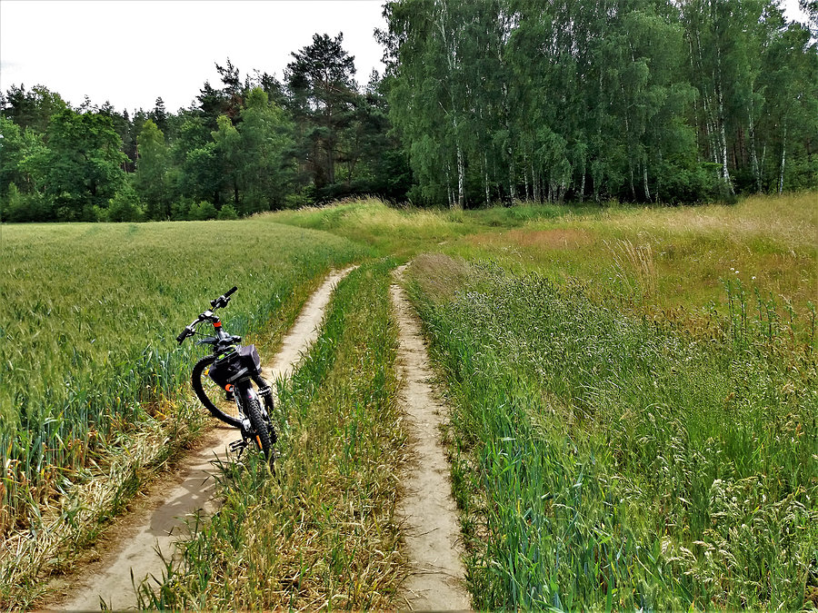Objazd trasy - Tczewskiego Crossu Rowerowego