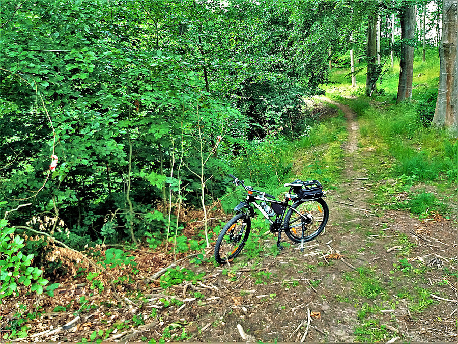 Objazd trasy - Tczewskiego Crossu Rowerowego