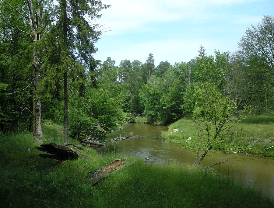 Mała Panew