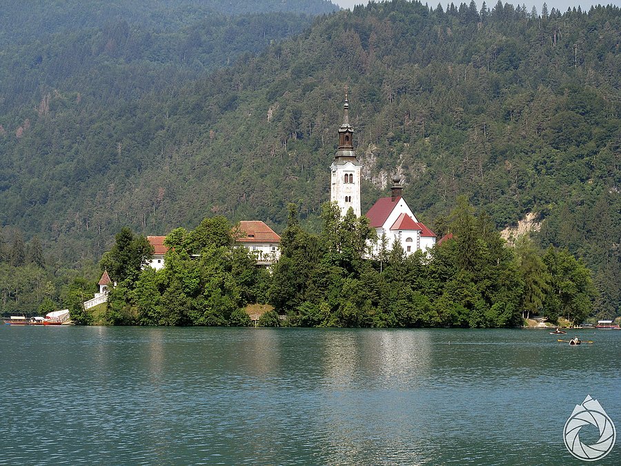 Bled z rana