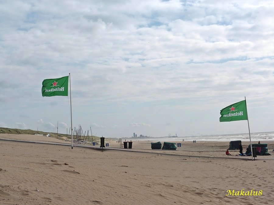 Plaża w Wassenar. Pierwszy dzień wietrzny i chłodny