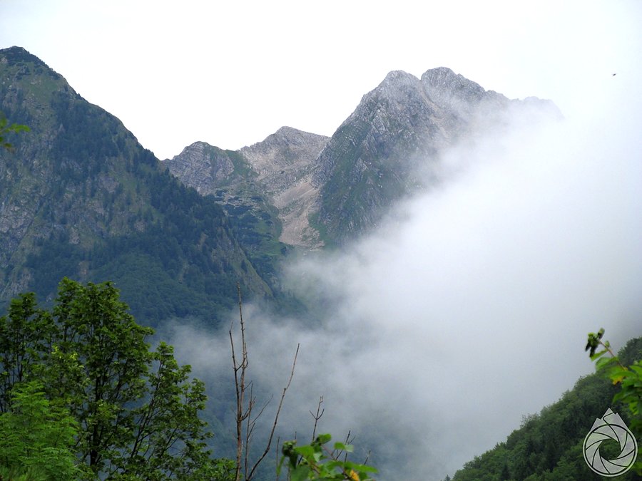 Dolina i Log we mgle