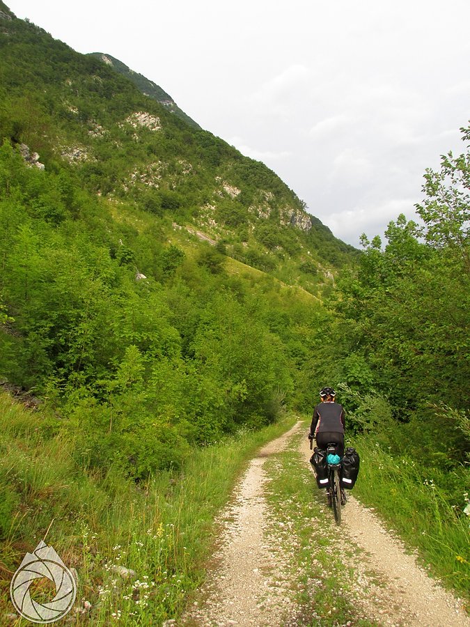 Podwieczorne szutry