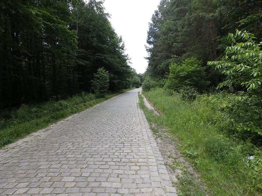 Piekło Północy