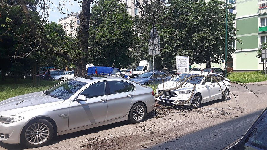 Efekt porannej ulewy