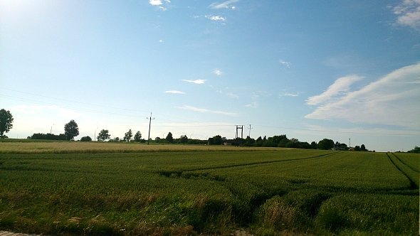 Zielone pola w Piotrowicach