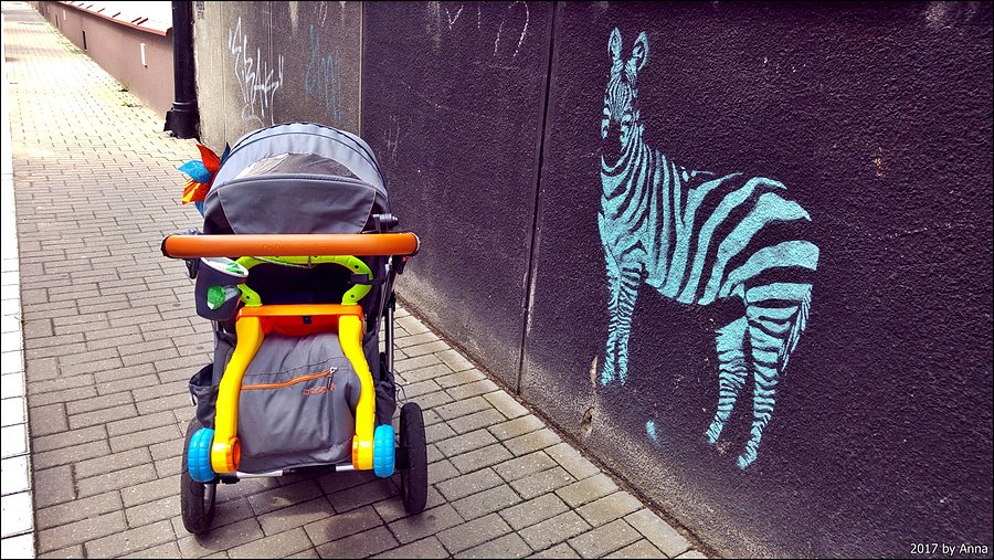 Ooo, zebra!