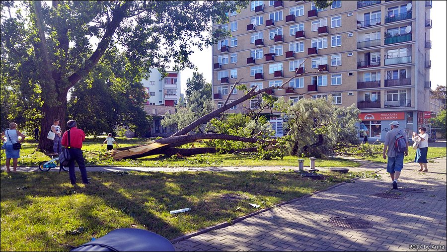 Żoliborski Armageddon