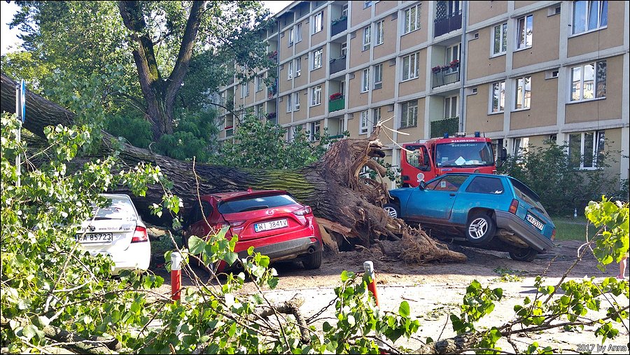 Żoliborski Armageddon. UPS