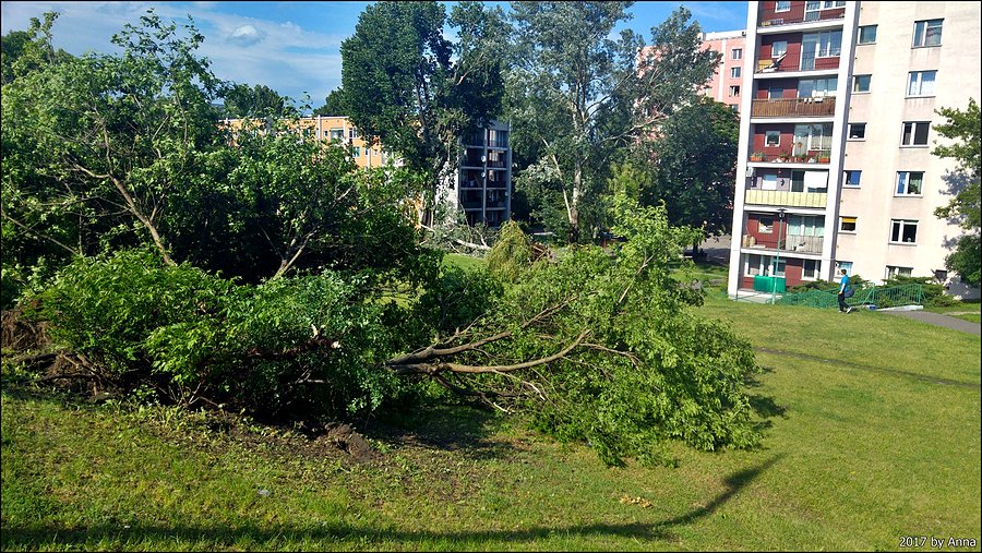 Żoliborski Armageddon
