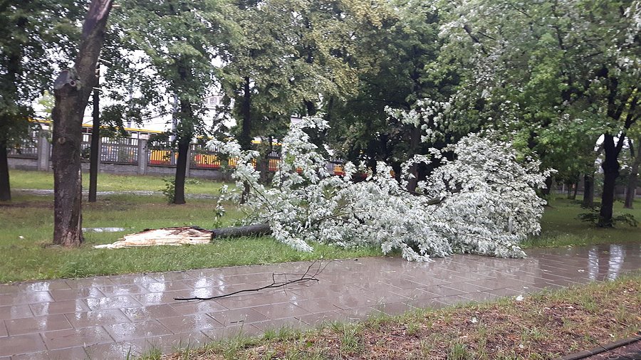 Wołoska przy zajezdni