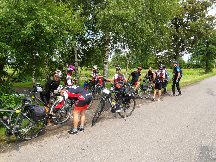 Rowerzyści na Żuławach