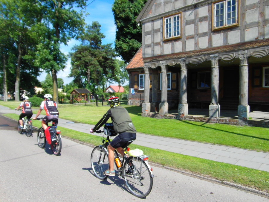 Rowerzyści na Żuławach