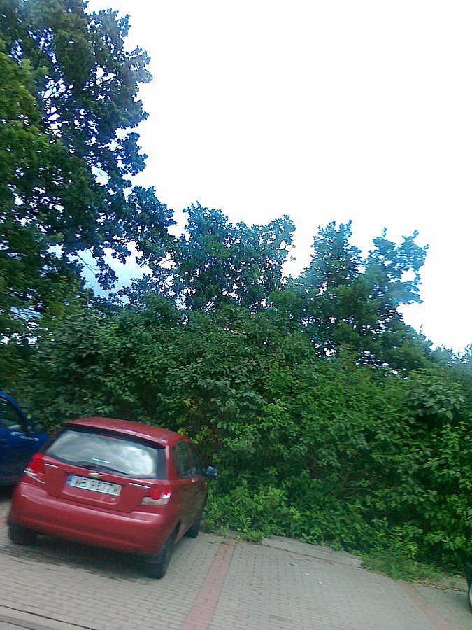 Po północnej stronie było jasne niebo