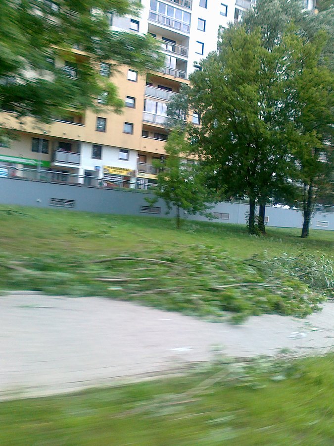 Pozostałości po południowej nawałnicy