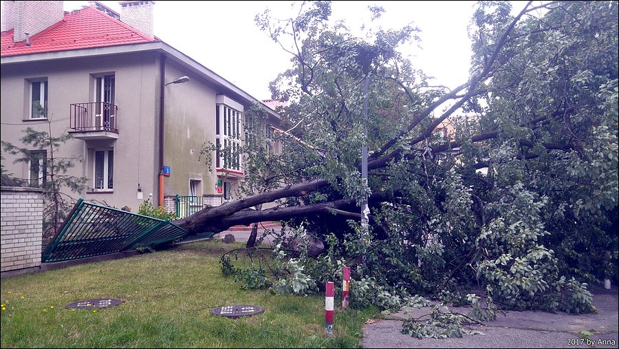 Przedszkole tuż obok