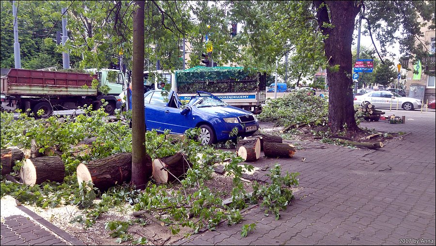 Znów popiełuszki