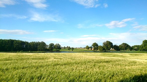 Okoliczne pola