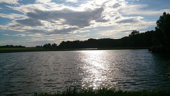 Stawy koło Bełżyc