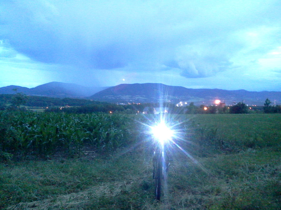 Z Kojkowic