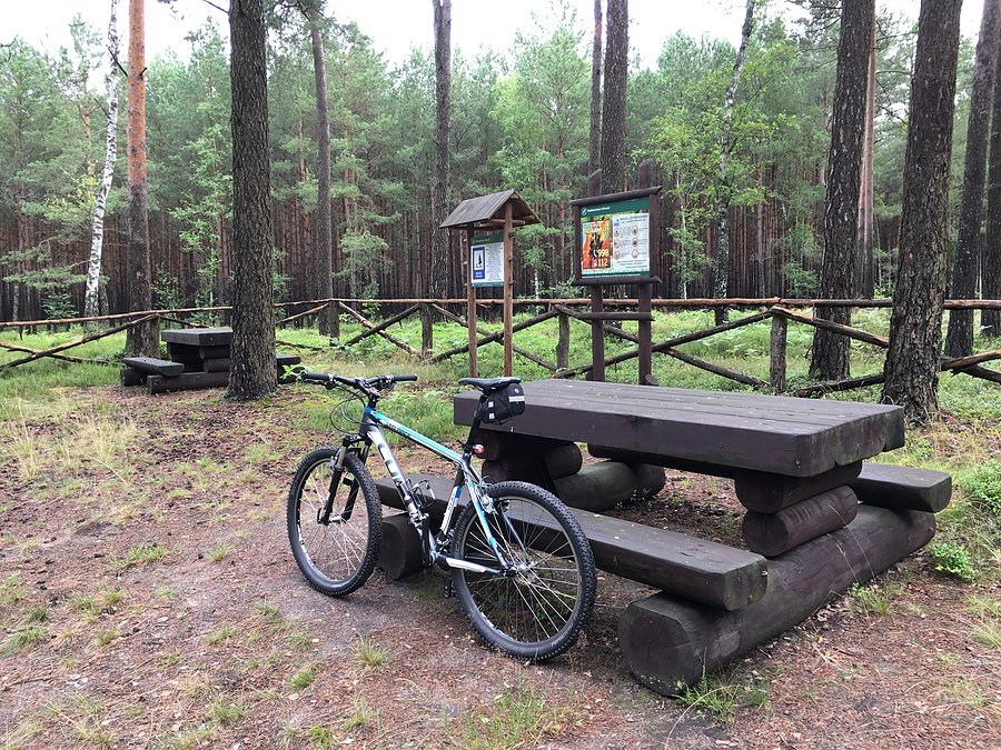 Miejscówka przy trasie Rzecin - Sieraków