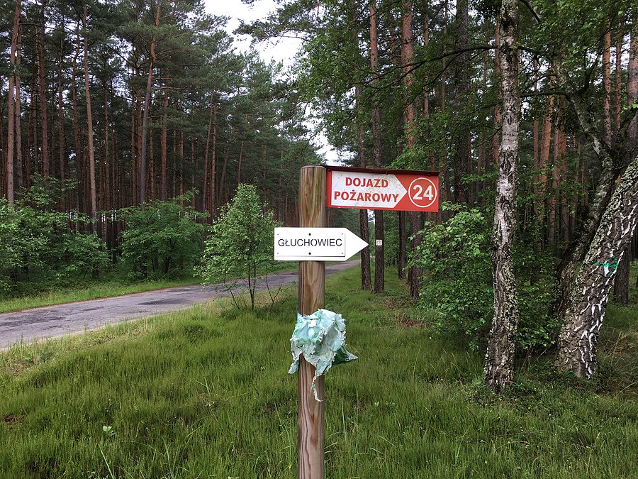 Kierunek Głuchowiec