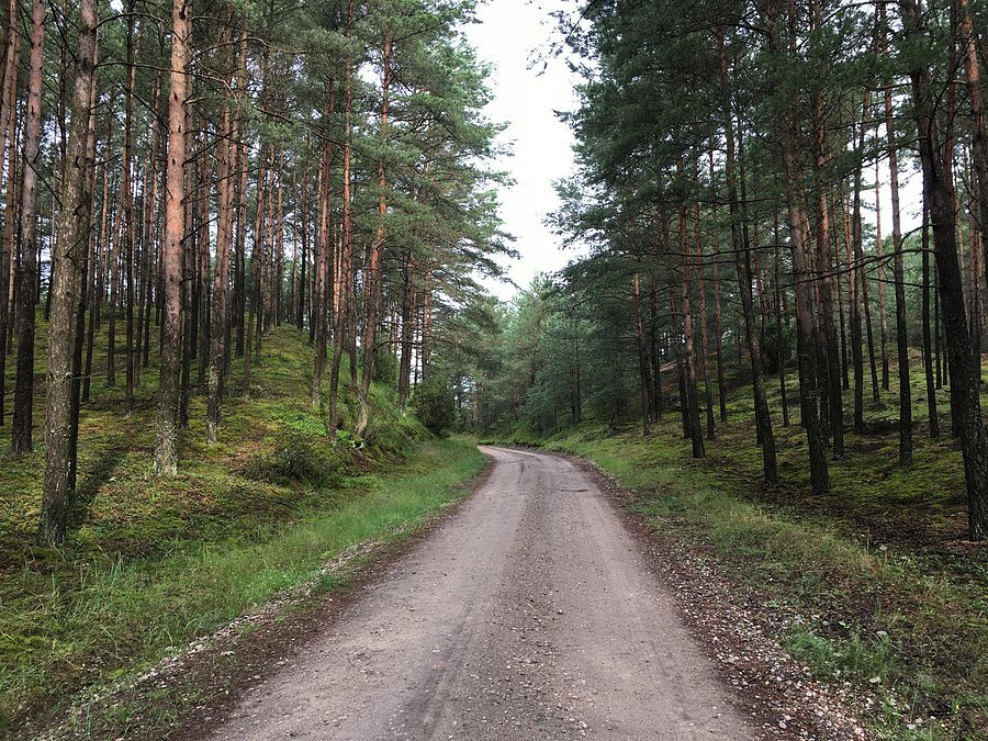 Trakt Wartosławski w kierunku Leśniczówki Dębogóra