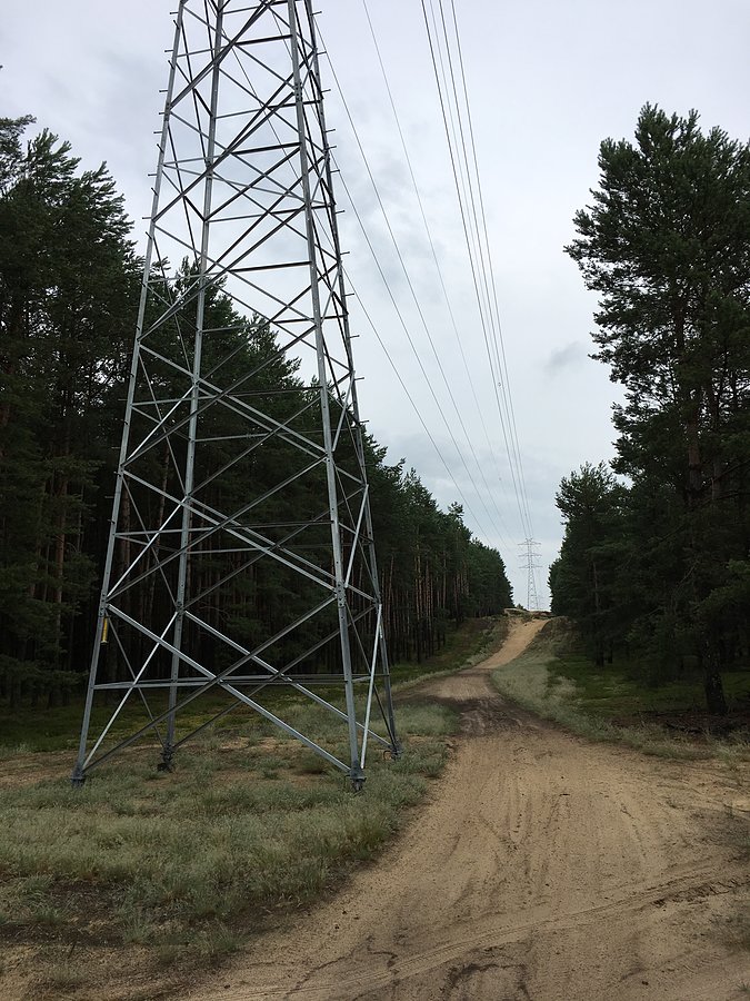 Linia energetyczna w Puszczy Noteckiej