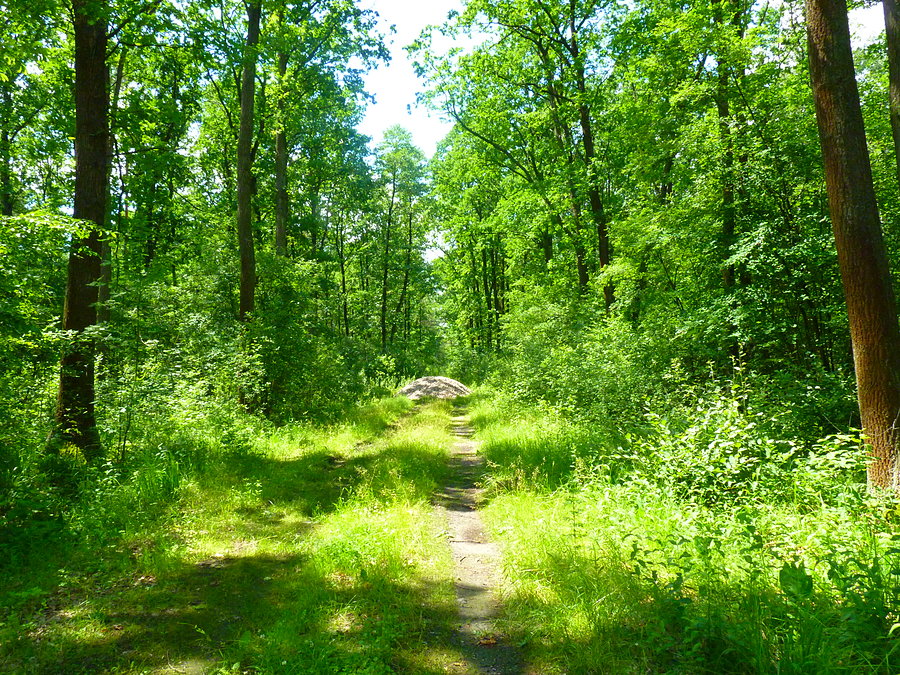 Pomyłka
